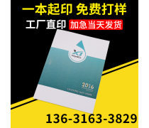 動漫設(shè)計宣傳畫冊 創(chuàng)意與視覺的完美融合